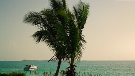 Palmen-Wehen-In-Der-Bahama-Brise-Mit-Meer-Und-Yacht-Im-Hintergrund
