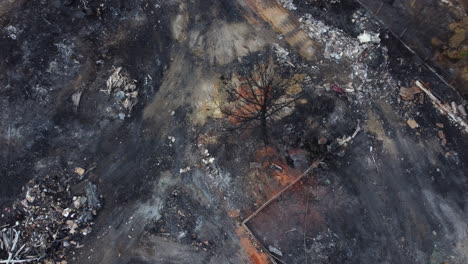 Black-Burnt-Tree-After-Fire-On-A-Warehouse-Area---aerial-descending