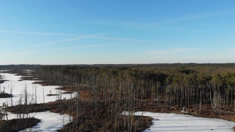 Beautiful-aerial-view-of-frozen-swamp-lake-and-forest-with-dead-trees-in-Cena-Mire-Nature-Preserve-on-a-sunny-day-in-Latvia