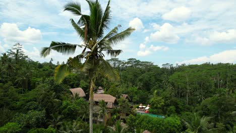 Luftaufnahme-Eines-Tropischen-Dschungels-Voller-Palmen-Auf-Bali-Indonesien-An-Einem-Sonnigen-Tag