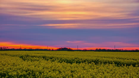 Calm-Colorful-Sunset-Time-Lapse-Of-Beautiful-Sky-At-Yellow-Rapeseed-Field