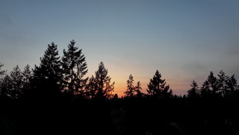 Luftaufnahme-Von-Silhouettenbäumen-Im-Sonnenuntergang
