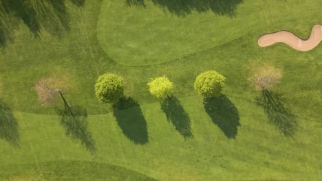 Beautifully-manicured-trees-standing-in-a-lush,-green-golf-course-in-the-rural-countryside-of-North-Rhine---Westphalia,-Germany