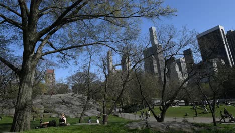 Multitud-De-Personas-Disfrutando-De-Un-Hermoso-Día-Bajo-El-Sol-En-El-Parque-Central-De-Manhattan