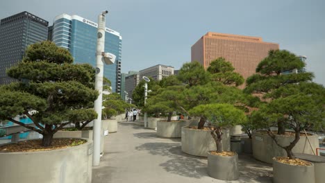 Fußgänger-Der-Stadt-Seoul,-Die-Entlang-Des-Linearen-Seoul-7017-Skygarden-Parks-über-Den-Straßen-Der-Stadt-Spazieren