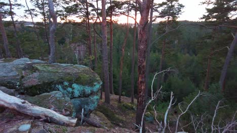 Right-to-left-overview-over-moss-covered-rocks-along-the-outskirts-of-an-old-forest-in-the-evening