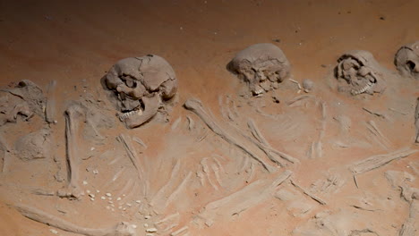 Freigelegte-Skelette-Prähistorischer-Menschen,-Freigelegt-In-Der-Archäologischen-Stätte-Mleiha-In-Sharjah,-Vereinigte-Arabische-Emirate