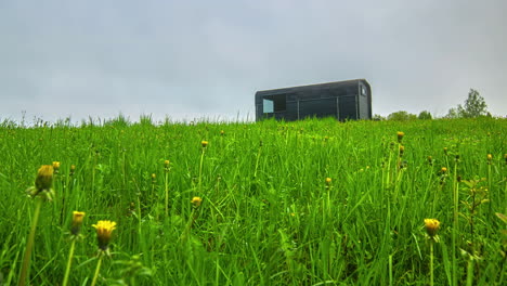 Timelapse-Of-A-Dandelion-Field-And-A-Sauna-On-Top-Of-A-Green-Hill