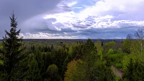 Time-lapse-shot-over-dense-forest-woodland-and-flying-clouds-at-dark-sky-in-nature