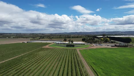 Drone-flying-over-Winery-on-sunny-day