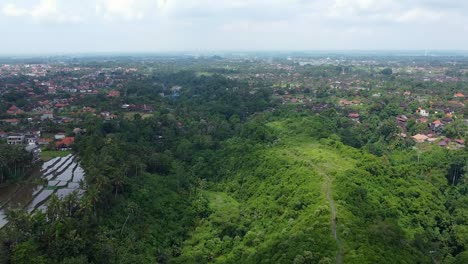 Aerial-View-Of-Campuhan-Ridge-Walk-In-Ubud