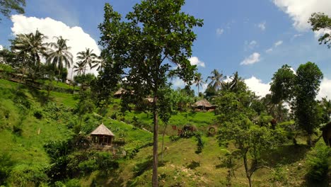 Magischer-Hügel-Aus-Bambushütten-Auf-Bali-An-Einem-Sonnigen-Tag-Mit-Kokospalmen,-Luftaufnahmen