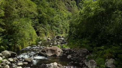 Reisen-Entlang-Eines-Flusses-Am-Grund-Einer-Schlucht-Auf-Der-Insel-La-Réunion