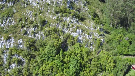 aerial-zoom-out-revealing-rocky-mountain-cliff-landscape-with-green-trees-on-a-sunny-summer-day
