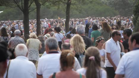 A-Large-Group-Of-People-Came-To-See-A-Live-Performance-During-Music-Festival-In-City-Park