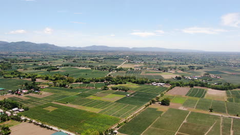 Vista-Aérea-Del-Amplio-Campo-Verde-Con-Casas,-árboles-Y-Montañas-Con-Cielo-Azul-Claro-Durante-El-Día-En-Calidad-4k
