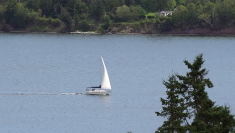 A-white-sailing-ship-is-moving-quietly-on-a-river-on-a-picturesque-lake