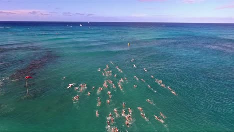 Vista-Aérea-De-Nadadores-Compitiendo-En-Aguas-Turbulentas-En-Waikiki
