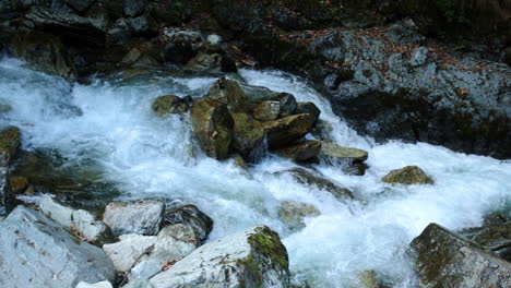 Small-river-in-the-romanian-mountains-4