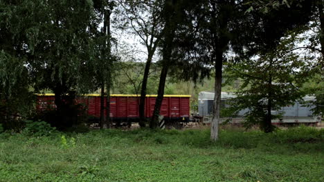 Industriegüterzug-Mit-Diesellokomotive---Rumänien