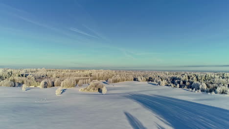 High-above-a-winter-wonderland-and-evergreen-forest-on-a-winter-day---aerial-slow-flyover