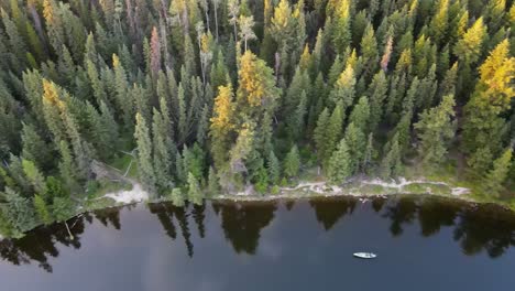 Atemberaubendes,-Von-Bäumen-Gesäumtes-Ufer-Des-Cobb-Lake-In-Der-Nähe-Von-Prince-George-In-Der-Landschaft-Von-British-Columbia,-Kanada