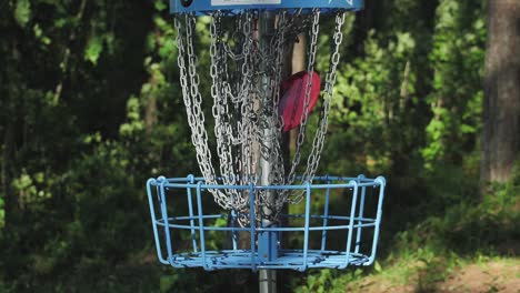 Disc-Golf-carts-in-the-forest