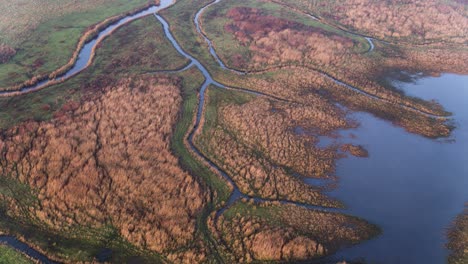 Scenic-aerial-view-of-River-Delta,-Marshes,-swamp-land,-flooded-farmlands