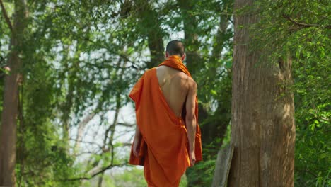 4K-Cinematic-portrait-travel-footage-of-a-young-Buddhist-monk-walking-on-a-wall-in-slow-motion-at-Wat-Umong-in-Chiang-Mai,-North-Thailand-on-a-sunny-day