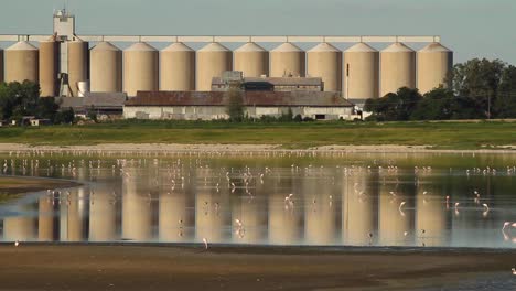 Grain-silos-supporting-local-farmers