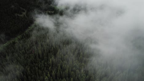 Wolken-Rollen-über-Die-Berge-Und-Einen-Wald