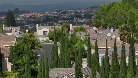 Rising-aerial-view-of-Italian-cypress-and-housing-in-Southern-California