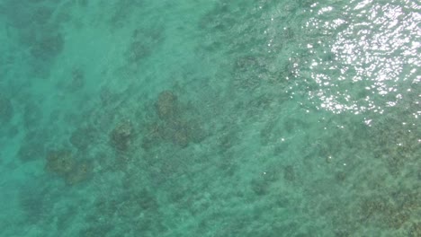 Schöne,-Beruhigende-Zoom-Out-Aufnahme-Der-Natürlichen-Natur,-Blick-Auf-Den-Ruhigen,-Flachen-Meerwasserstrand-Von-Puerto-Galera,-Philippinen