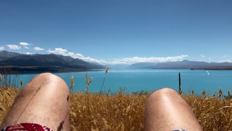 FPV-footage-of-lying-in-dry-grass-above-turquoise-Lake-Pukaki,-New-Zealand