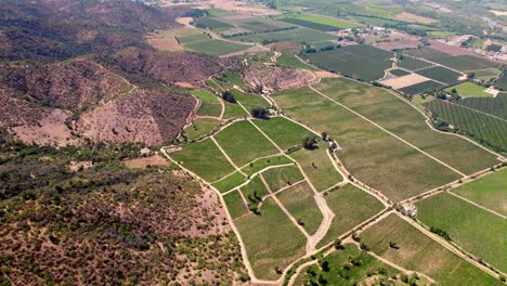Aerial-establishing-shot-of-multiple-geometric-vineyards-and-orchards-in-Cachapoal-Valley