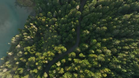 Lowering-aerial-shot-of-a-winding-road-cutting-through-an-evergreen-forest-in-California