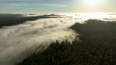 High-up-aerial-view-of-low-lying-clouds-mixing-with-California-forests