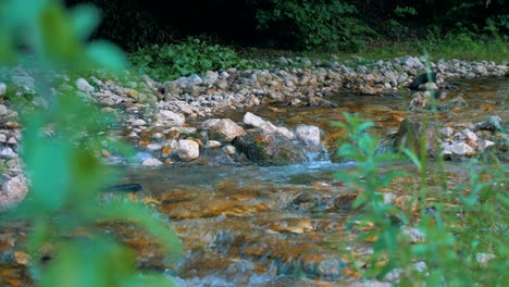 River-stream-in-Piatra-Craiului,-Brasov-country,-Romania,-Transylvania-4K