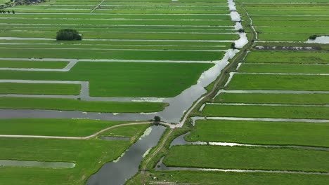 Water-canals-between-green-ribbon-fields-in-Dutch-polder-area