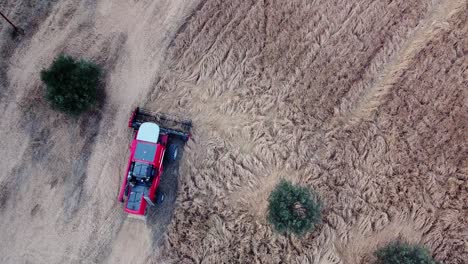 Top-View-Harvester-Gathers-The-Wheat