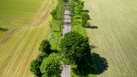 Aerial-drone-top-down-shot-of-countryside-road-surrounded-by-green-trees-between-agricultural-field-on-sunny-summer-day