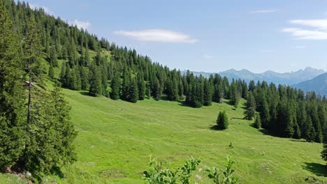 Alpes-Austríacos-Durante-El-Verano-Con-Hermosas-Vistas