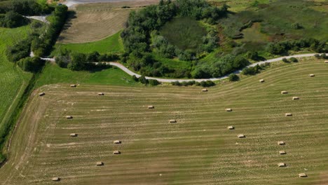 Top-down-aerial-shot-of-a-park-walking-trail-running-alongside-a-recently-harvest-field-of-grass