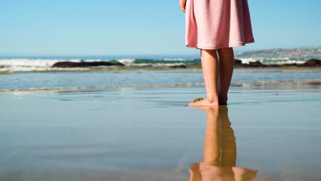 Reflection-in-wet-sand-on-beach-of-girl-in-pink-dress-looking-at-waves