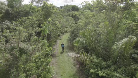 Vista-Superior-De-Un-Hombre-Caminando-Por-Un-Camino-En-Medio-De-Un-Denso-Bosque-Tropical