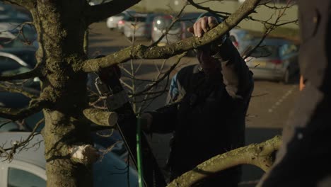 man-on-a-ladder-removing-a-branch-from-a-tree-while-his-coworker-take-it-safely
