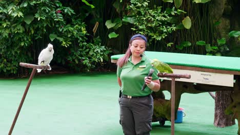 Kakadus-Und-Papageien-Zusammen-Mit-Ihrem-Trainer-In-Einem-Großen-Naturschutzgebiet