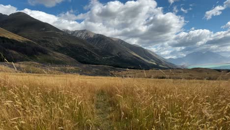 Narrow-trail-leading-through-dry-grassland-of-windswept-plains-near-lake-Ohau,-NZ