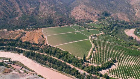 Aerial-establishing-shot-of-large-vineyards-in-the-Maipo-Canyon-region,-Chile