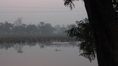 Shot-of-waterlogged-crop-fields-Iwith-damaged-crops-visible-in-distance-in-Sindh,-Pakistan-during-evening-time